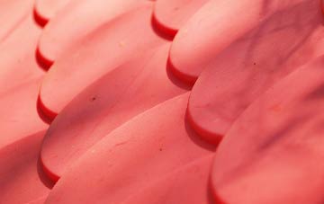 Scole Common plastic roof costs