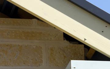 soffit repair Scole Common
