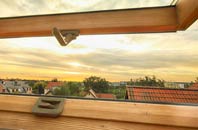 rated Scole Common roof window companies
